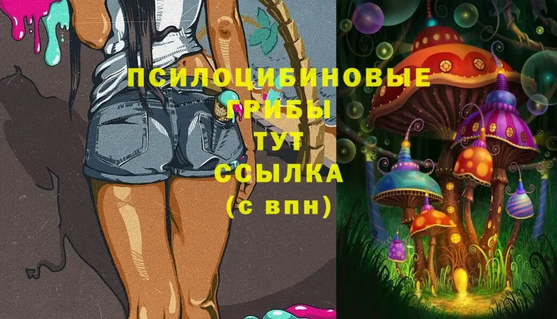 Псилоцибиновые грибы Magic Shrooms  OMG tor  Разумное 